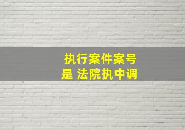 执行案件案号是 法院执中调